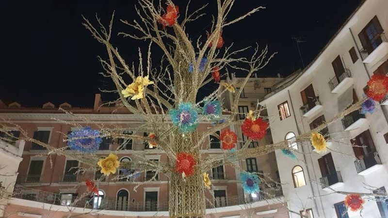 Installazione delle ultime luminarie: albero della vita in Piazza Flavio Gioia