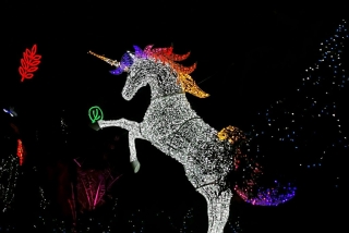 Luci d'Artista Salerno 2021