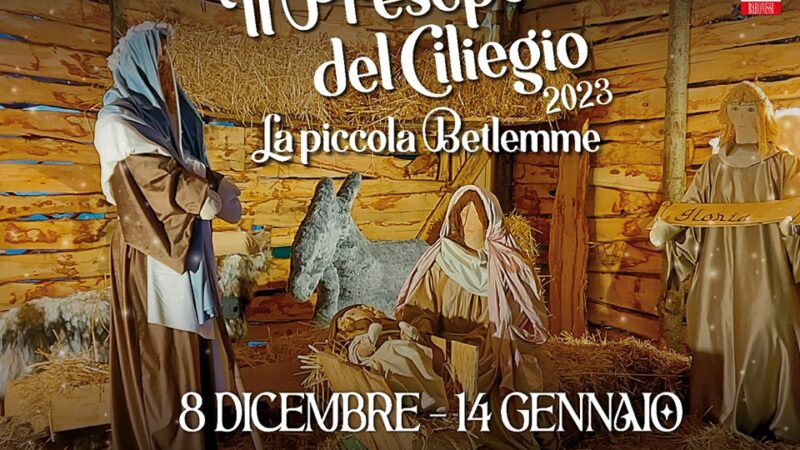 Baronissi (SA): dall’8 dicembre 2023 al 14 gennaio 2024 apre il Presepe del Ciliegio